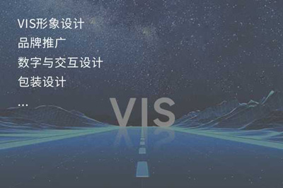 识别系统模块